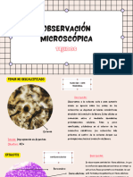 Observación Microscópica de Tejidos