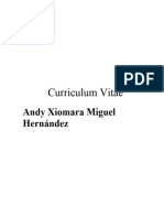Curriculum Andy Miguel