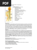 apostilasistemanervoso