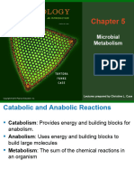 305 - Chapter 5 - Metabolism