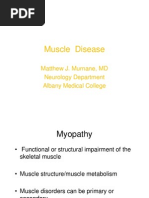 Download MuscleDisease by Muhammad Moral SN69117496 doc pdf