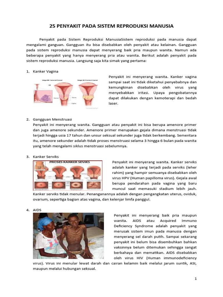 Penyakit Pada Organ Reproduksi | PDF