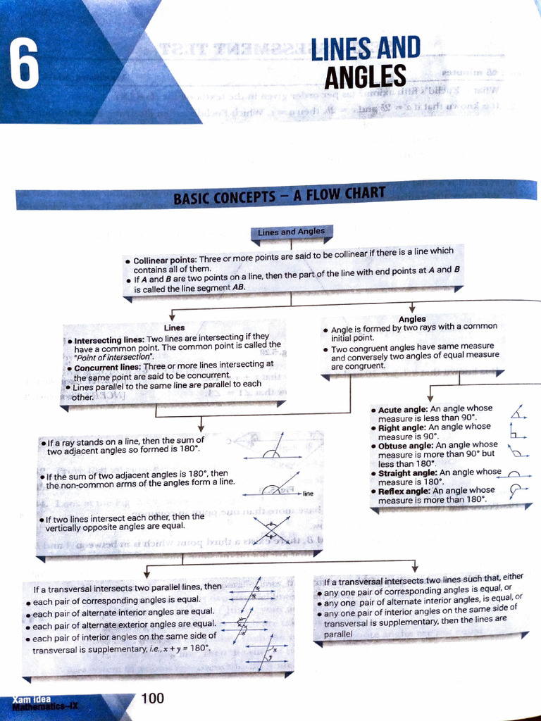 Lines and Angles: Basic Concepts | PDF | Triangle | Geometric Measurement