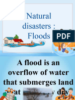Natural Disaster - Floods Presentation