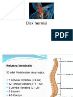 Disk Hernisi