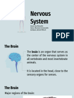 Nervous System 2nd