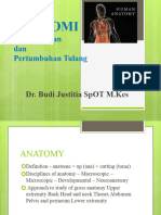 Anatomi Pertumbuhan, Perkembangan Dan Vaskularisasi Tulang