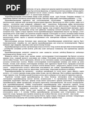 Парсы шығанағы туралы порно фильмге тапсырыс беріңіз