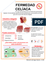 Infografia Enfermedad Celiaca