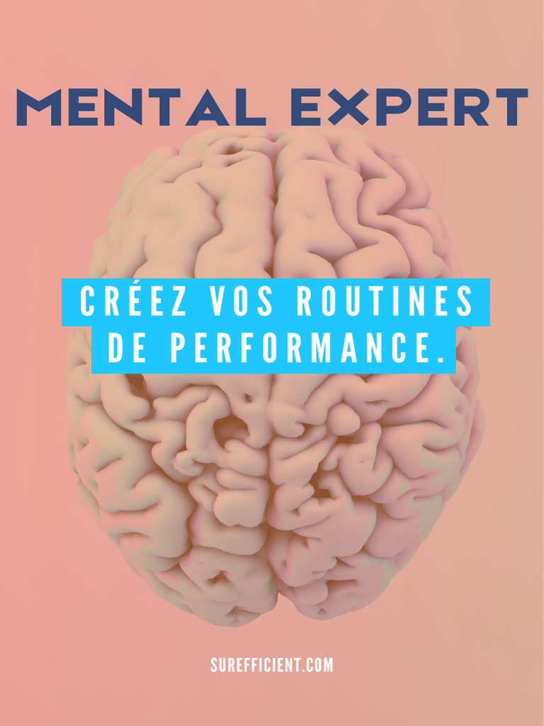 MENTAL EXPERT Créer Vos Routines Performance | PDF