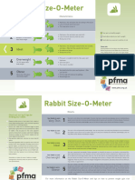 Pet Size o Meter Rabbit