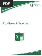 Excel Basics1 Shortcuts