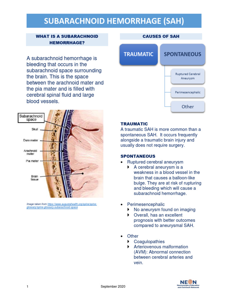 Subarachnoid Hemorrhage Guide | PDF | Clinical Medicine | Medical ...