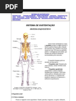 SISTEMA DE SUSTENTAÇÃO