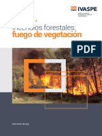 3.Incendios forestales- fuego de vegetación