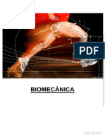 Biomecanica Estructural