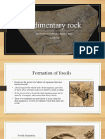 Sedimentary Rock Assigment