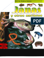 Ranas y Otros Anfibios