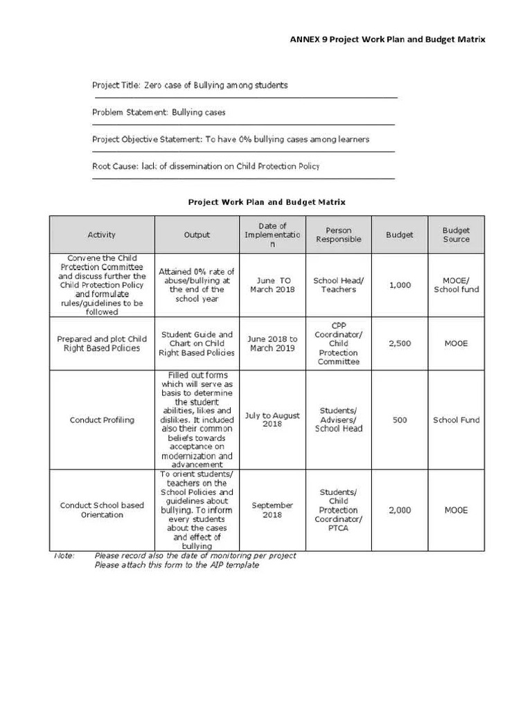 CPP Work Plan | PDF