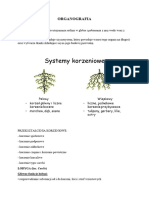 ORGANOGRAFIA