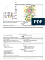 2.1 Cell As A Unit of Life