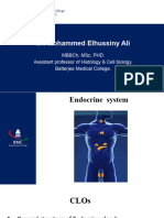 Endocrine System (2) 2