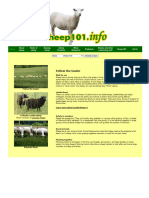 Sheep 101 - Sheep Behavior - PDF 2