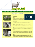 Sheep Scale How Are You Feeling Today - Google Search | PDF | Sheep ...