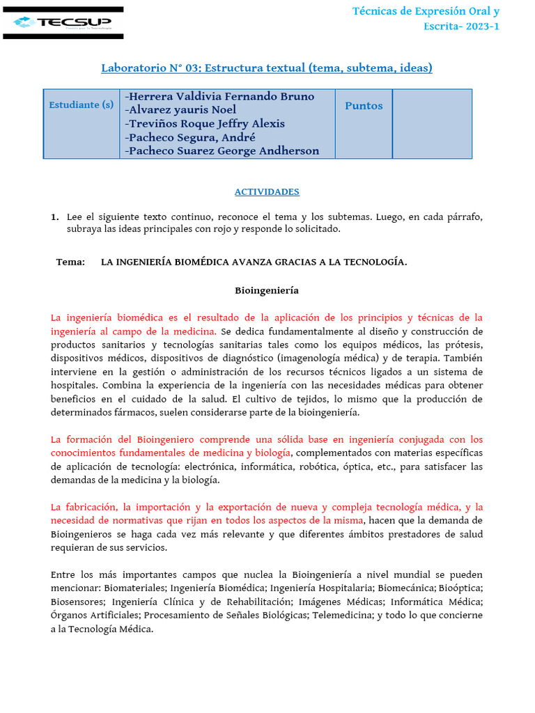 L3 - Estructura Textual (Tema, Subtema, Ideas) | PDF | Ingeniería ...