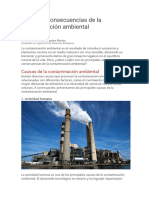 Causas y Consecuencias de La Contaminación Ambiental