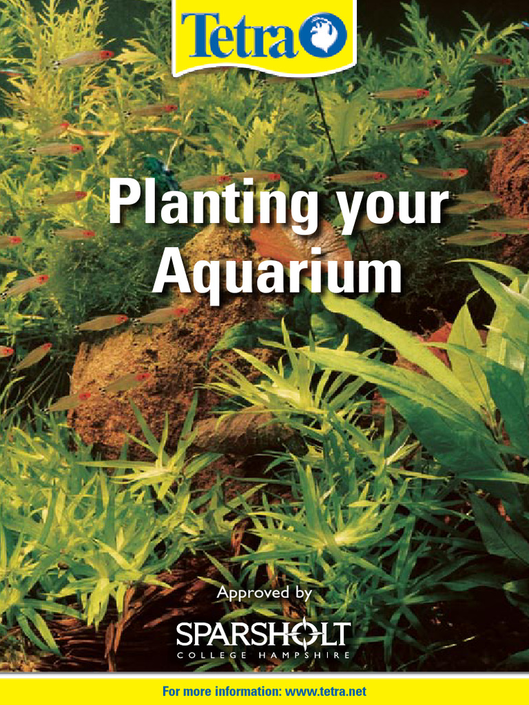 Planting Your Aquarium PDF Aquarium Plants