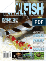 English - Tropical Fish Hobbyist.10.2009