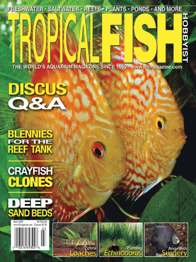 English - Tropical Fish Hobbyist.03.2009 | PDF