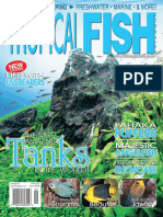 Tropical Fish Hobb Is T 201201
