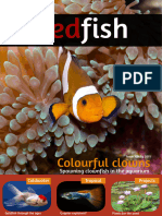 Redfish Magazine 2011 July Eu