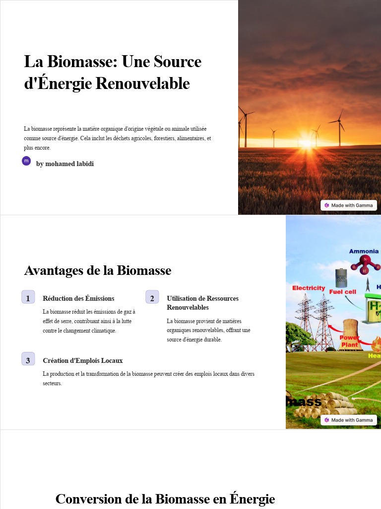 La Biomasse Une Source Denergie Renouvelable | PDF | Biomasse (énergie ...