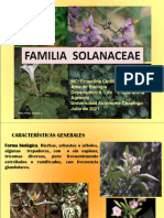 Familia Solanaceae-Ernestina