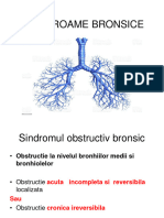 Sindroame Bronsice