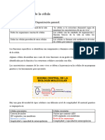 Bloque I. Citognética