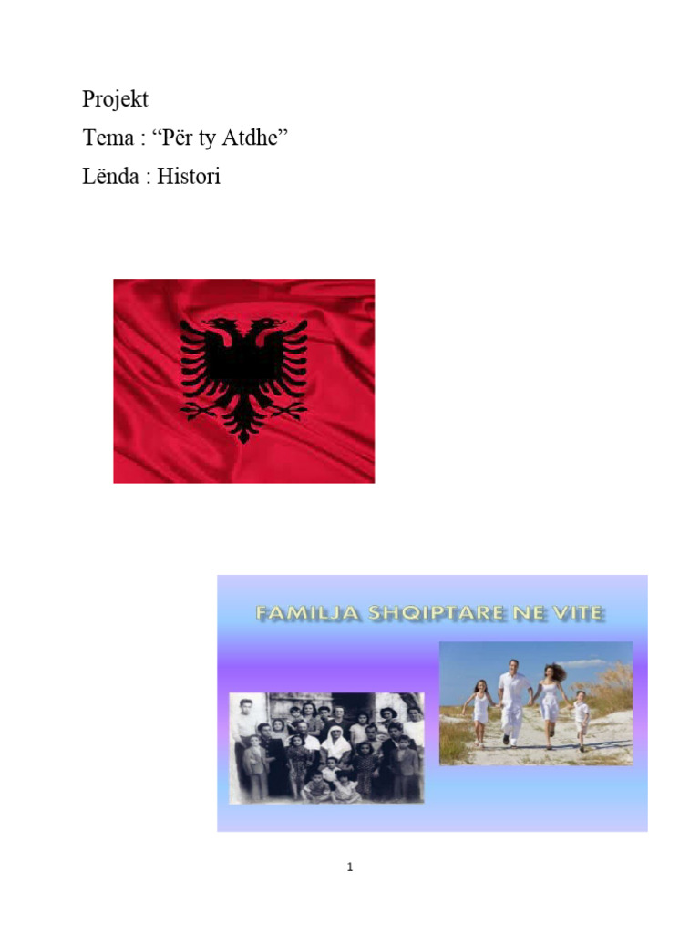 5.projekt Per Ty Atdhe Histori | PDF