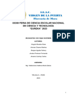 Informe Feria VP