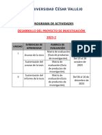 Cronograma de Actividades Dpi 2023-2