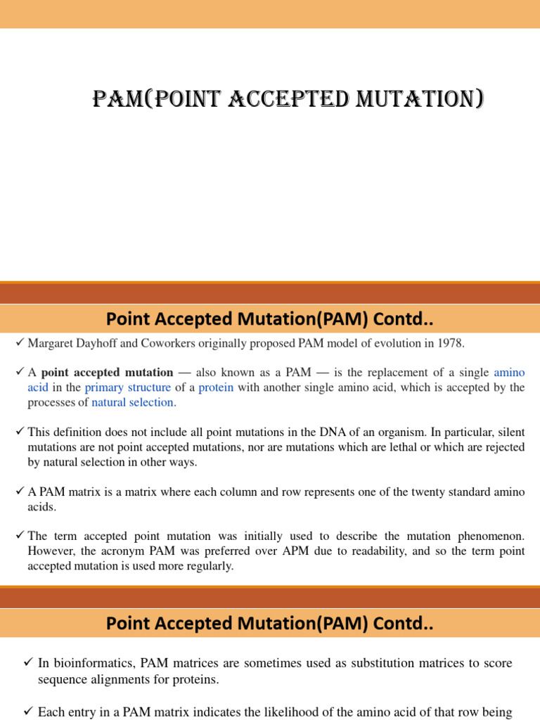Understanding Point Accepted Mutations | PDF | Computers | Technology ...