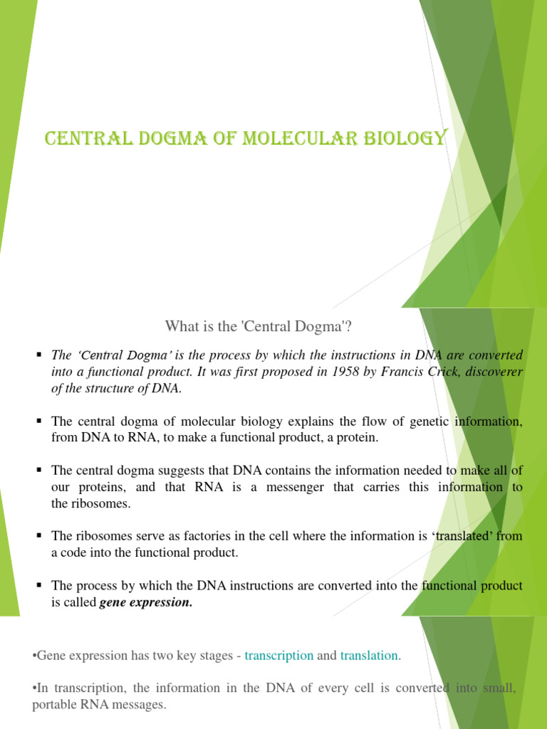 Central Dogma of Molecular Biology Explained | PDF | Rna | Translation ...