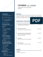 Blue Simple Professional CV Resume