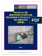 Guia Manual Iper Flavio Ventura