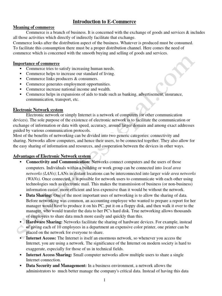 E Commerce | PDF