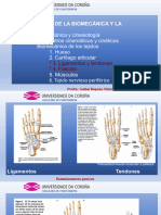 20-21 VI. Biom.tejidos (Lig.tendones, Fascias...)_d439b0f739a5f0c5a239b71149e22cf1