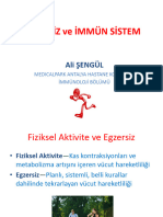 Egzersiz Ve İmmün Sistem