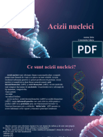 Acizii Nucleici Proiect